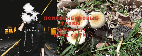 героин Алексин